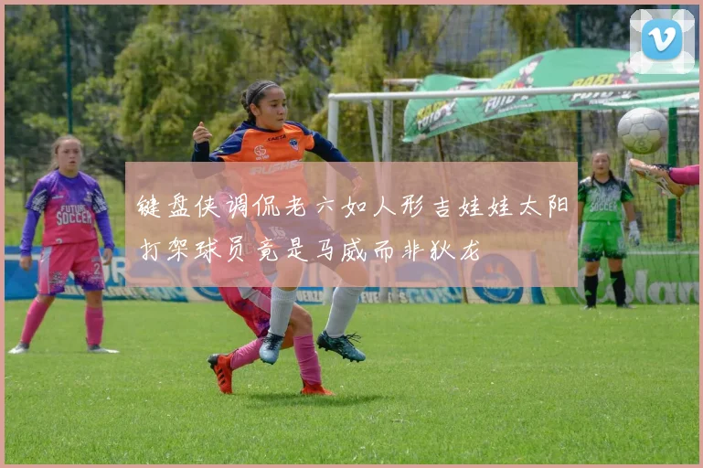 键盘侠调侃老六如人形吉娃娃太阳打架球员竟是马威而非狄龙