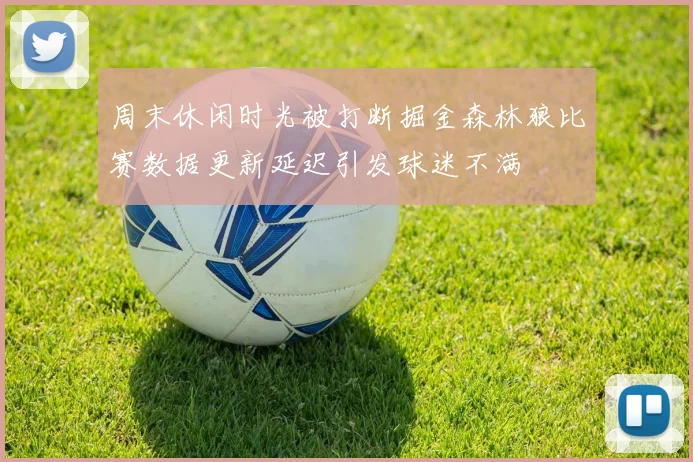 周末休闲时光被打断掘金森林狼比赛数据更新延迟引发球迷不满